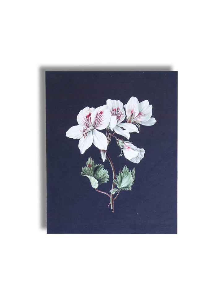 Vintage Art Print - Dark Floral I (in stock) Earthly Comfort  ECH1998