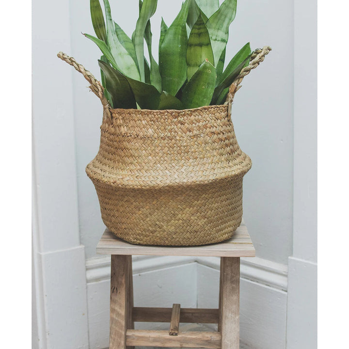Handcrafted Natural Lobster Trap Wooden Plant Stand FTN Pots & Planters FTN0047-3