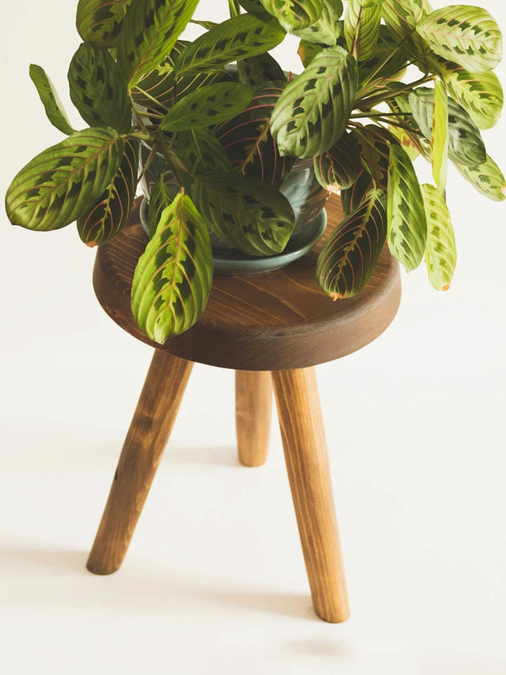 Handcrafted Wooden Tripod Plant Stool FTN Pots & Planters FTN0056-6