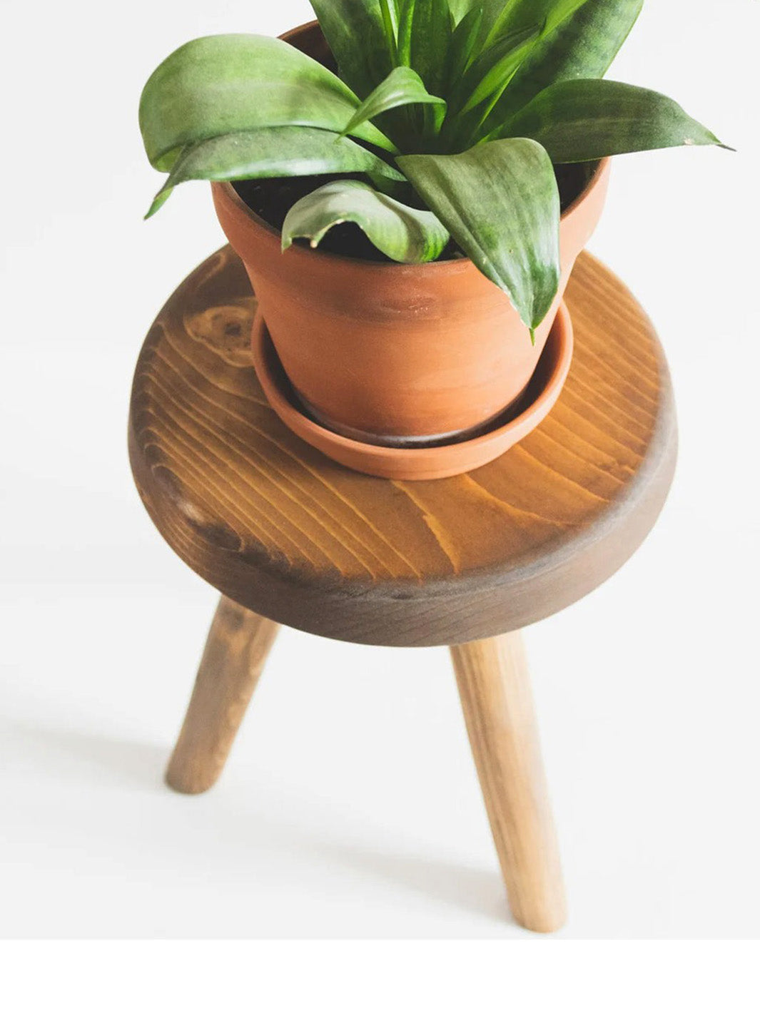 Handcrafted Wooden Tripod Plant Stool FTN Pots & Planters FTN0056-8