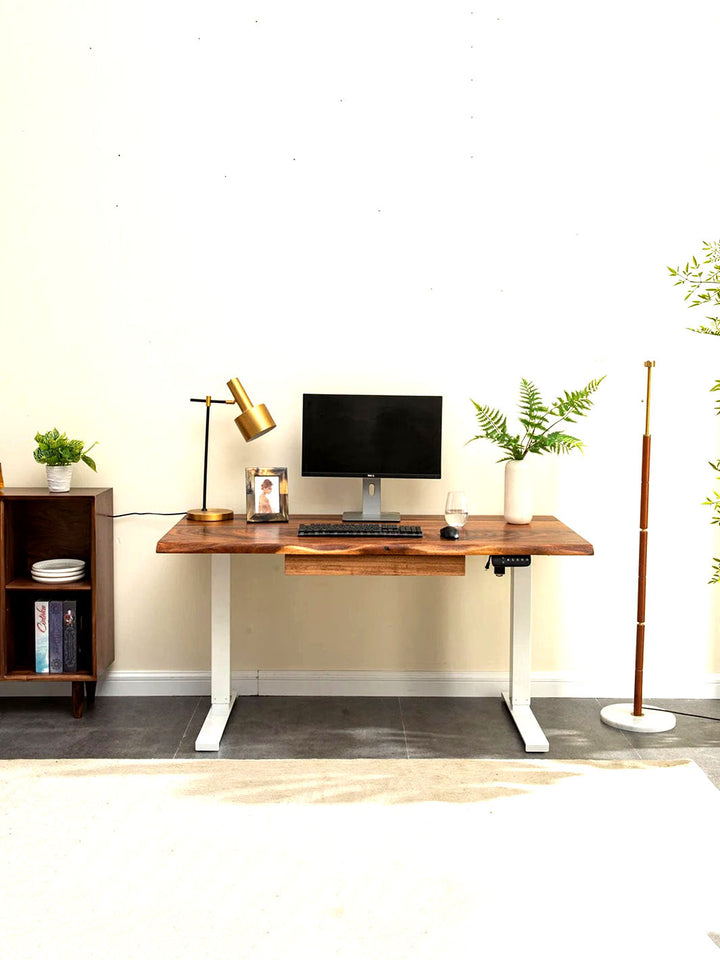 Modern Standing Desk Brown Walnut Wood Top Electric Adjustable White Legs Multiple Sizes